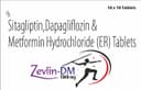 Zevlin DM1000